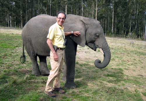 Ali with a baby African Elephant